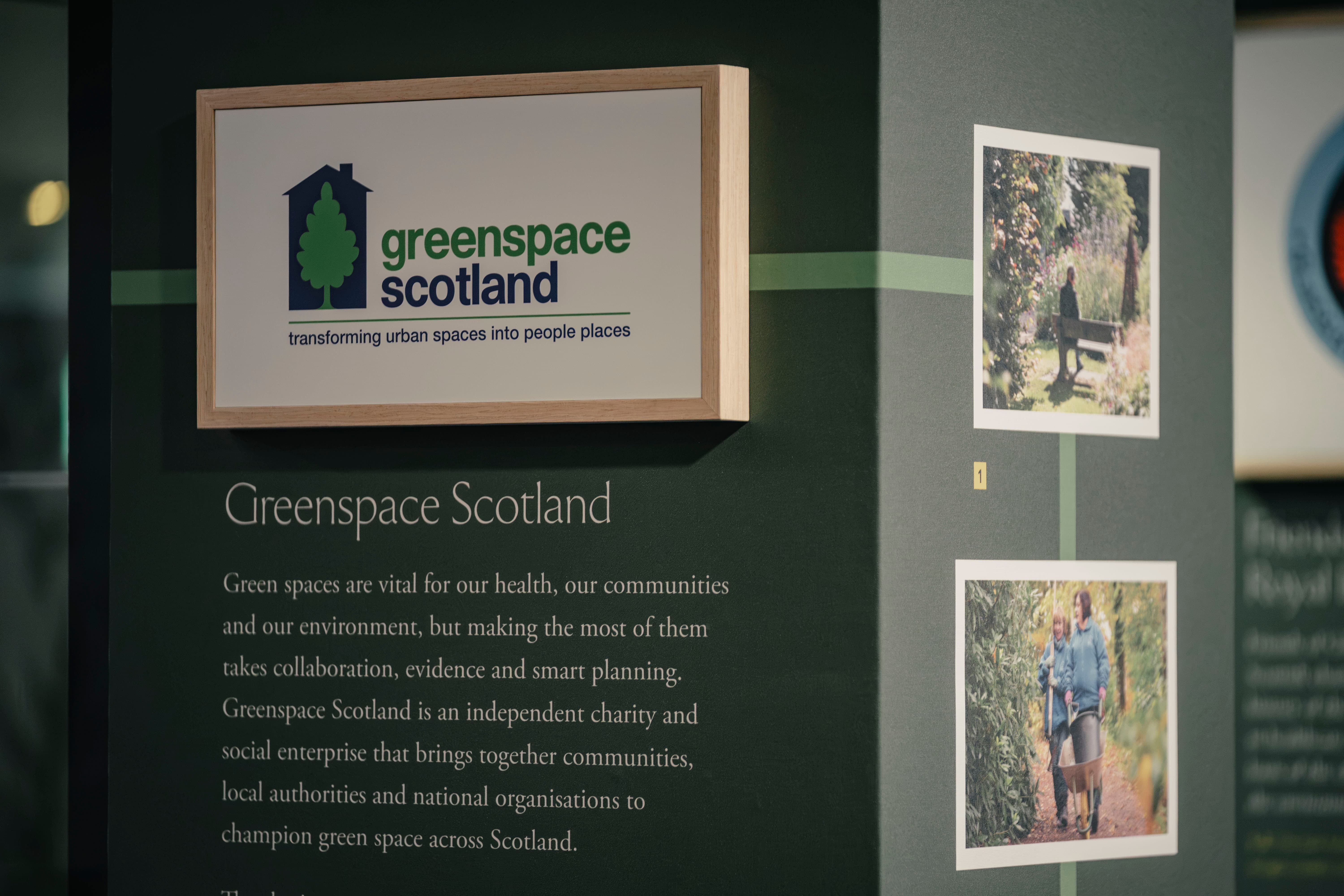 Dear Green Places Gallery 1
